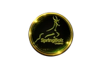 springbok casino